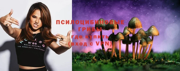 индика Абдулино