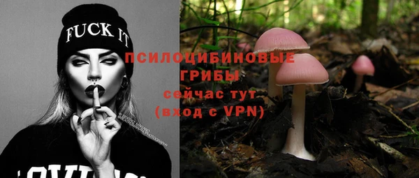 мяу мяу мука Абинск