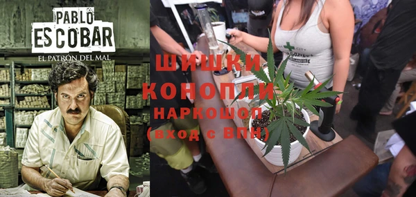 индика Абдулино