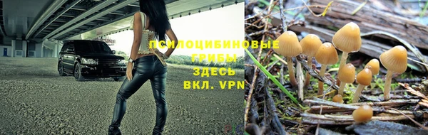 стафф Абаза