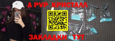 стаф Можга