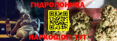 стаф Можга