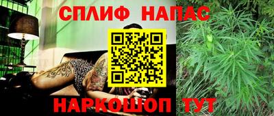 стаф Можга