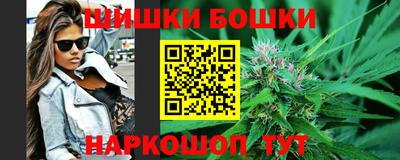 стаф Можга