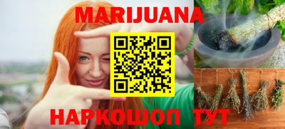 стаф Можга