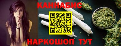 стаф Можга