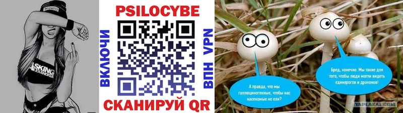 Псилоцибиновые грибы Psilocybine cubensis  ОМГ ОМГ ссылки  Алейск 