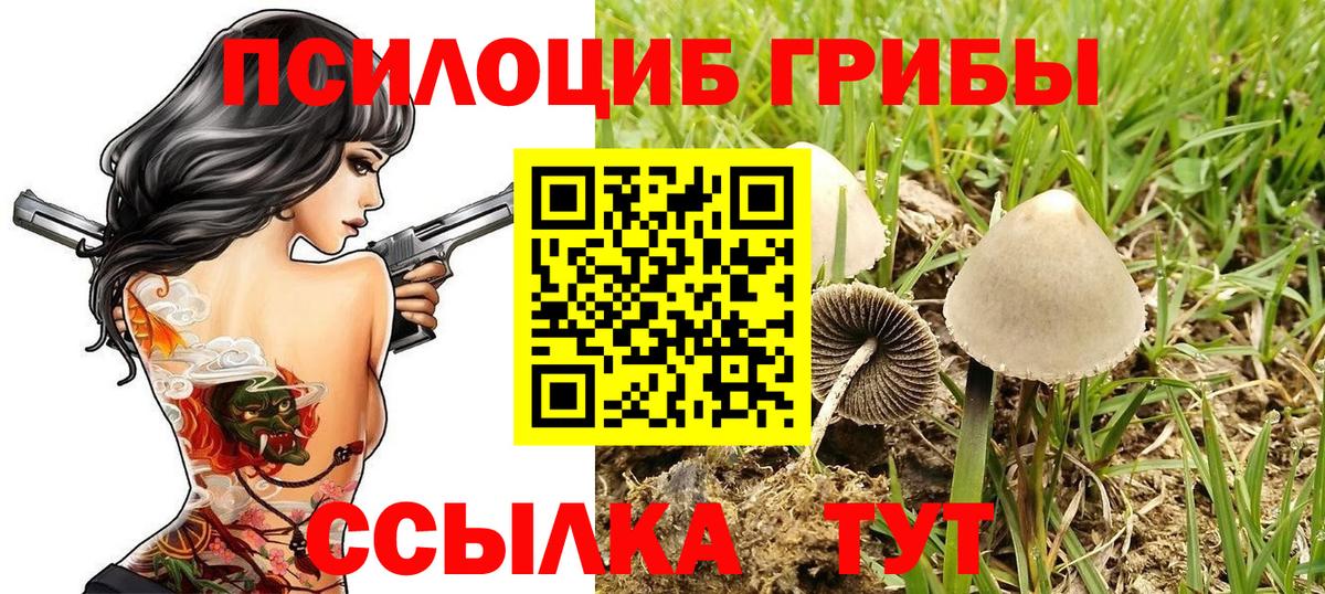 Псилоцибиновые грибы MAGIC MUSHROOMS  Галлюциногенные грибы Psilocybine cubensis  где купить наркоту  Вход с VPN  Алейск 